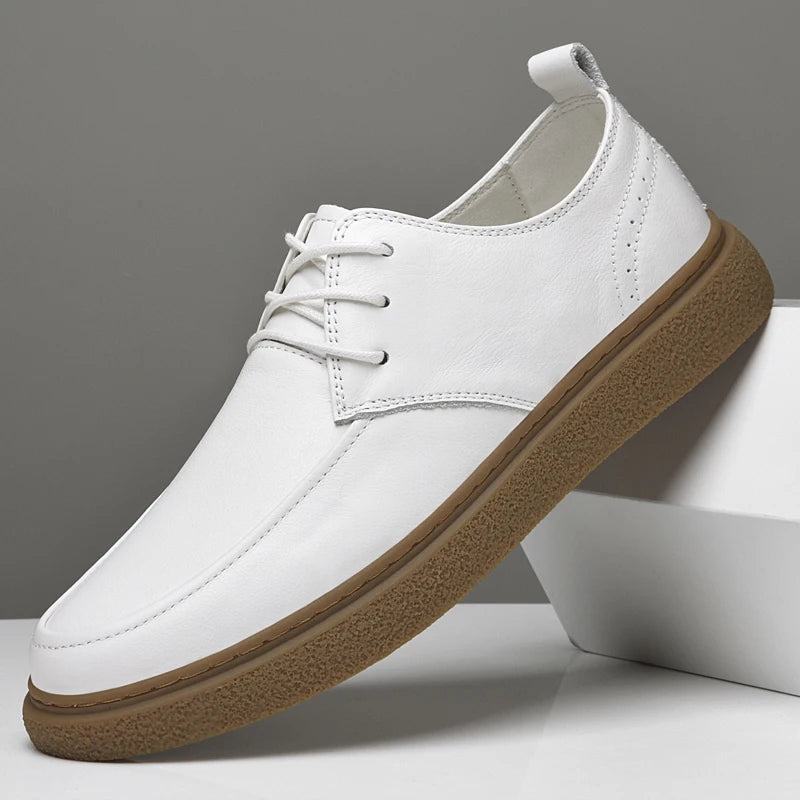 Winston Leather Shoes